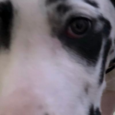 yourboyfai's profile picture. 