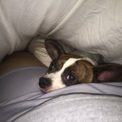 lizbasketball25's profile picture. 