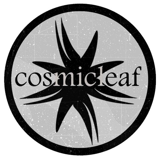 https://t.co/VhPCWwewCx
Cosmicleaf reinventing dance music for the ambient zone ...