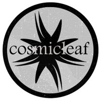 Cosmicleaf - Record Label and Music Curator -(@cosmicleaflabel) 's Twitter Profile Photo