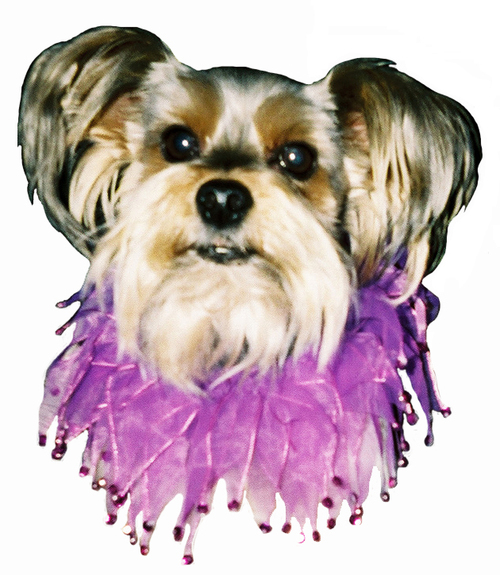 lukaslist's profile picture. Please sponsor, support, & promote Just Causes! 
Fellow Lymies welcome.