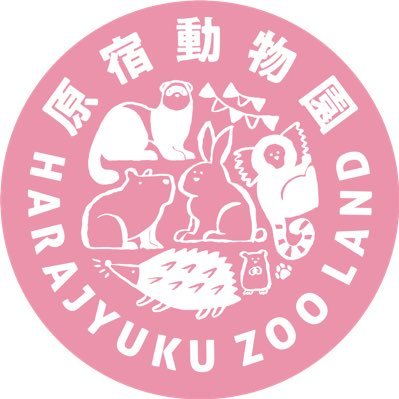 ピンクを基調としたかわいい店内にミーアキャットさん、フェレットさん、フェネックさん等の動物さんがいる動物カフェです✨ https://t.co/FUkzMo9W4U