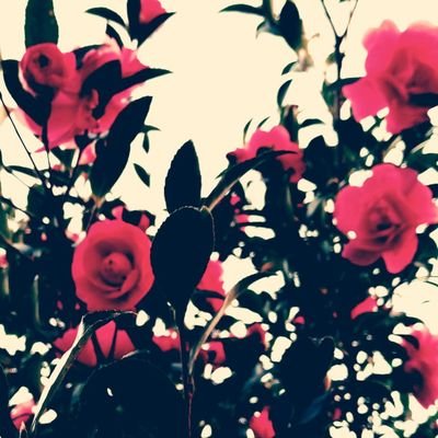 RfxbQc6lCRdEXuG's profile picture. 初めてでも☺︎ついてる方にはタメ語で話しかけます🙇年子姉妹🎀🎀