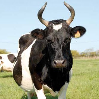 Breton, catho, terrien. Bref, à la limite de la déviance...