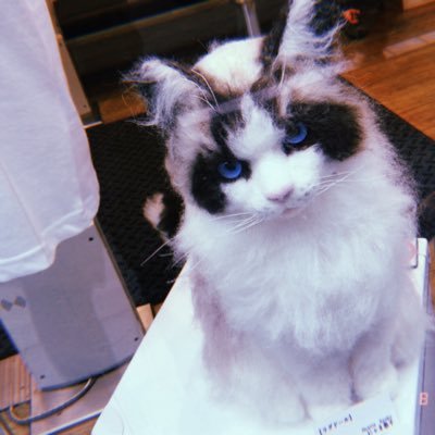 あんどーなつ🌙.*さんのプロフィール画像