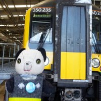 Jonathan Panda (@pub_panda) 's Twitter Profile