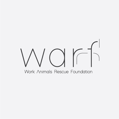 info_warf's profile picture. Yük Hayvanlarını Koruma Ve Kurtarma Derneği / Work Animals Rescue Fundation https://t.co/LpgX9WSBze