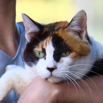 RYOさんのプロフィール画像