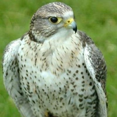 du2ik4AgIjrJ4Wp's profile picture. ‏‏‎‎‏💔اللهم انك عفو كريم تحب العفو فاعف عني 💔