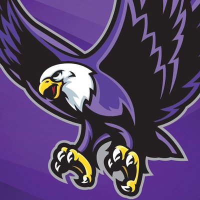 SEPAthletics's profile picture. The official Twitter of St. Edmund Prep Eagles Athletics #LetsGoSEPEagles