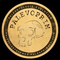 PALEVOPRIM(@palevoprim) 's Twitter Profile Photo