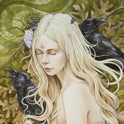 Liquid Fae Studiosさんのプロフィール画像