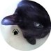 CatDisapprovesOfYou (@CatDisapproval) Twitter profile photo