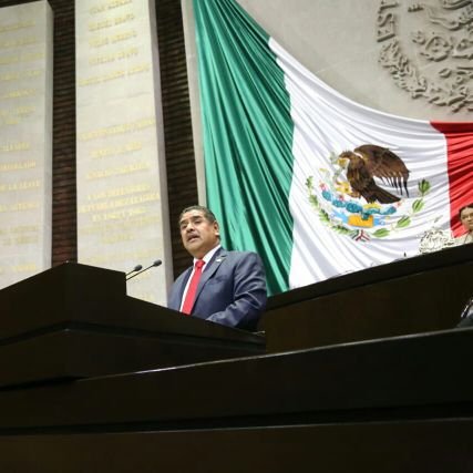 Luchador social.
Defensor de los derechos indígenas y campesinos.
Líder CNPA.
Diputado Federal Distrito 01 Puebla.
PES - Partido Encuentro Social.