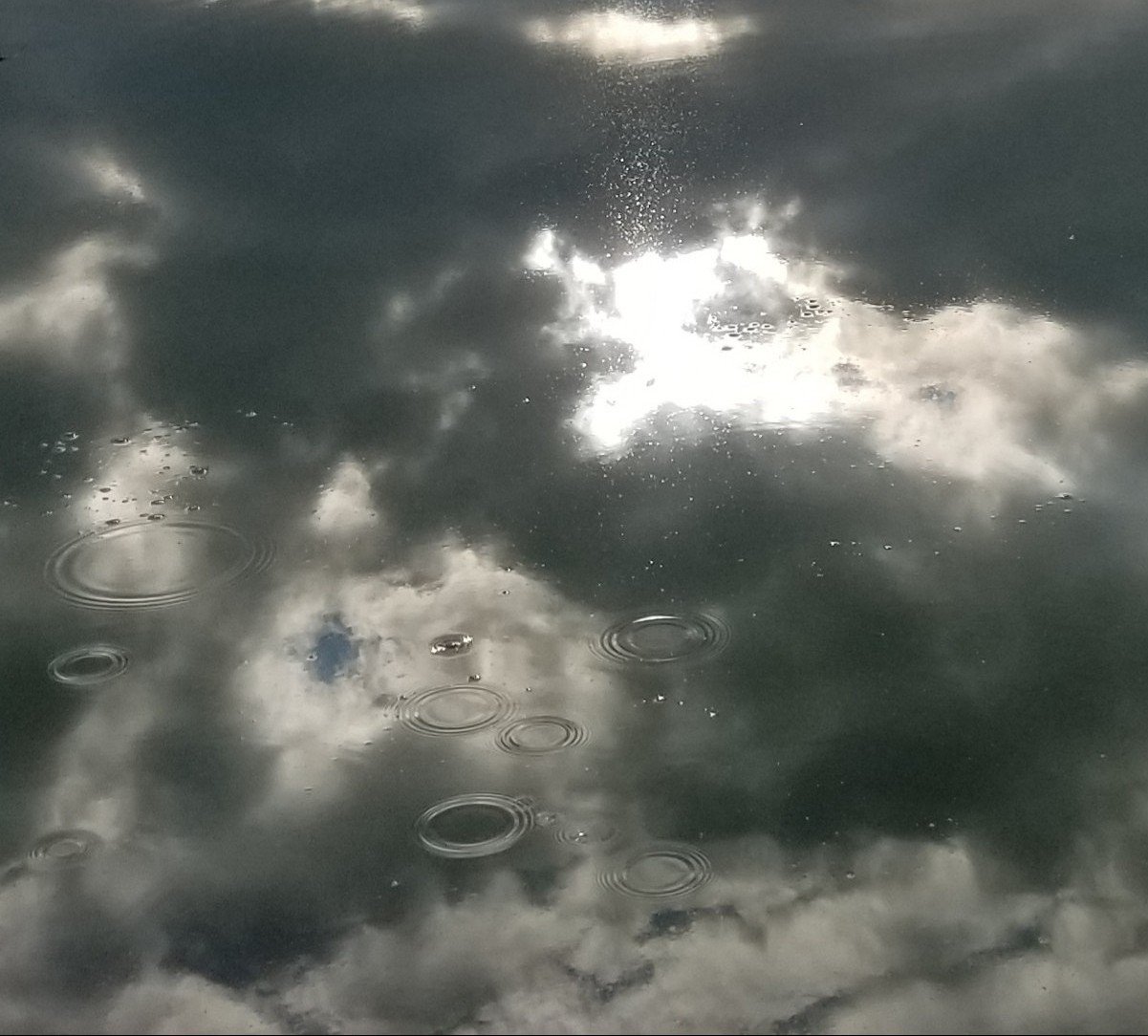 mio_ver_2's profile picture. 好きなものを好きなように。出会い求めてません。
RT、いいね多め。自分用。
よく分からない人はブロックしますm(_ _)m