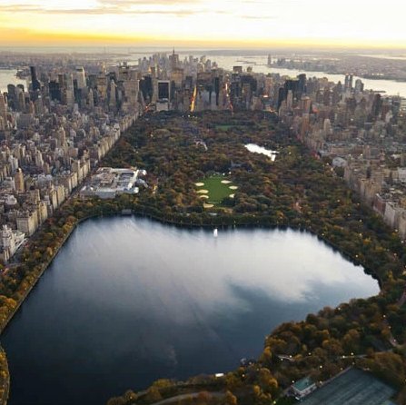 7thStPendulum's profile picture. 