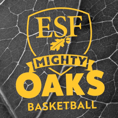 Official page for SUNY-ESF Mens Basketball. A member of @USCAA and @HVIAC conference. #FearTheForest