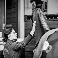 Catherine Dwyer (@catheri56339252) 's Twitter Profile Photo Catherine Dwyer (@catheri56339252) 's Twitter Profile Photo