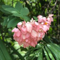 Liaina Claytor (@liainac) 's Twitter Profile