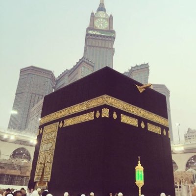 tamiiarif's profile picture. اَللّهُ