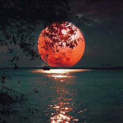 CarlosV31304685's profile picture. 