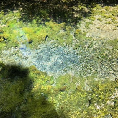 タカタンタン ここから先は敬虔で善良なる者以外立ち入り禁止だ オレたちは入れない 自分が悪役になった時言ってみたい台詞