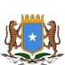 Somalia Permanent Mission to OIC🇸🇴 (@somaliaatoic) Twitter profile photo