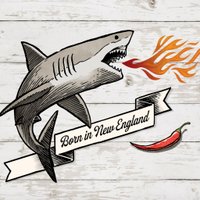 The Spicy Shark(@thespicyshark) 's Twitter Profile Photo