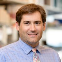 Sam Haywood (@samhaywoodmd) 's Twitter Profile