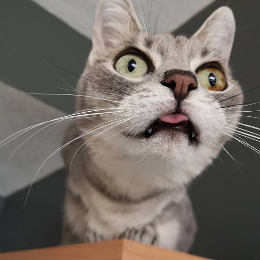 NessaLeslie's profile picture. 