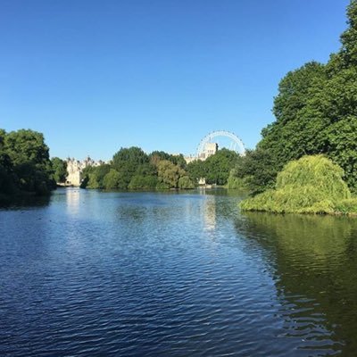 Walking blogger exploring London's hidden gems, parks, riversides, bridges, landmarks, woodlands, sights and history!📍📷📝 View my latest walking adventures 👇