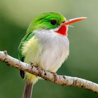 ISO8601x (@iso8601x) 's Twitter Profile