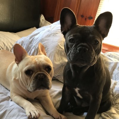 sandynguyen77's profile picture. 