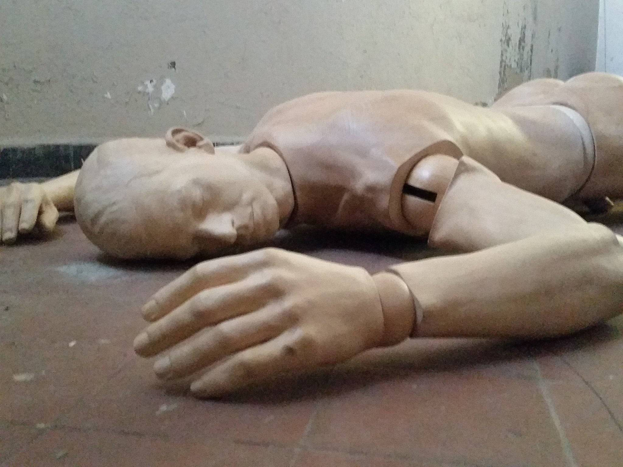 susanseifert19's profile picture. 