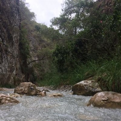 Antonio70692's profile picture. 