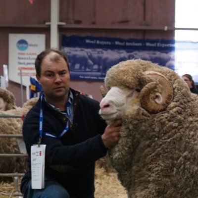 passionate merino breeder