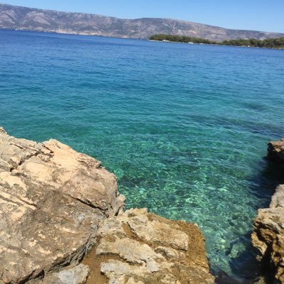 Find me on Instagram same handle #koolshark2 |Manhattanite | Explorer | Birder | My Nature Photos