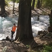 Celina Serna (@celserna) 's Twitter Profile