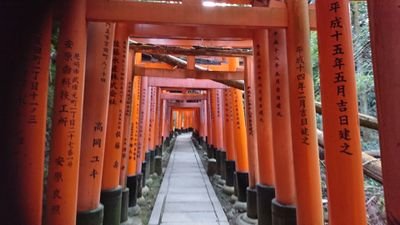 hJSchLmuSCUiK5f's profile picture. 