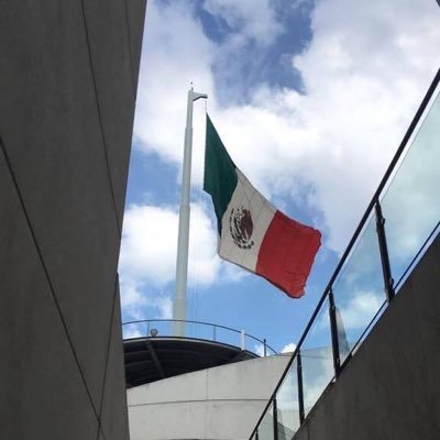 ExPdte Comisión Ing. Municipal y Urbanística, Academia de Ingeniería; exVicePdte. Asociación Mexicana Urbanistas.20 años en org en exterior y 27 en Mex.