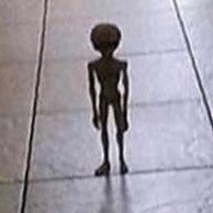 kryystal1's profile picture. 