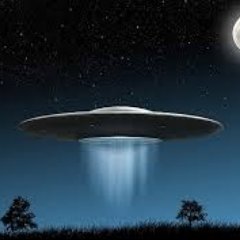 Writer/Artist
Time Travel Researcher
Quantum Environmentalist