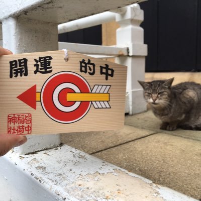 💰超富裕層(自称) 🇺🇸NVDAで(自称)6億円割れ 🇯🇵東京海上で(自称)9億円割れ 💴資産総額(自称)14億円割れ