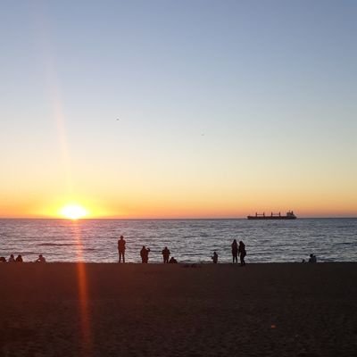 jose_bugueno87's profile picture. 