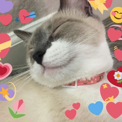 TacosRefresco's profile picture. .