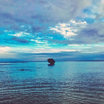 takeya120114's profile picture. 大経