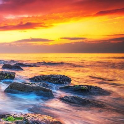 MIMO93754052's profile picture. 