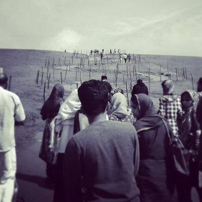 Follower Of Messenger Of God | Indian | Free Palestine 🇵🇸