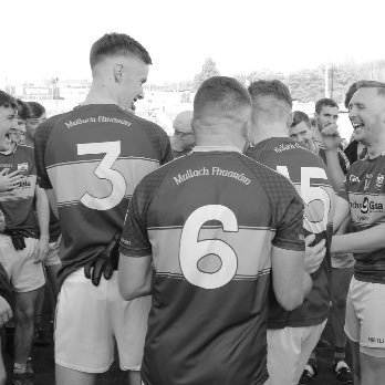 phaideen's profile picture. Jack of all trades, Master of none! Ag. Science, Biology, and JC Science teacher! Mullach Fhuaráin Abú!