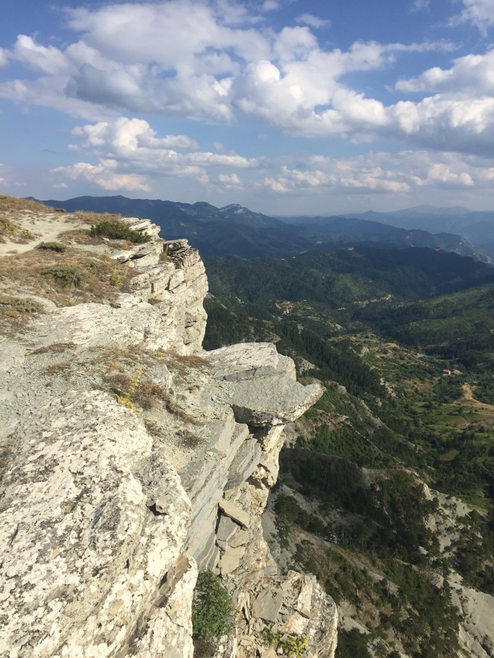 NirasGeorge's profile picture. Politics, straight shooter, calling a spade —  [a] spade